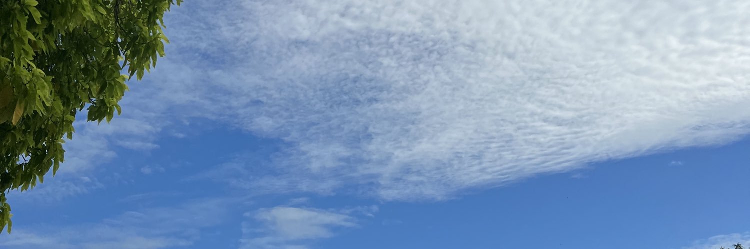 premeooooow's profile banner image