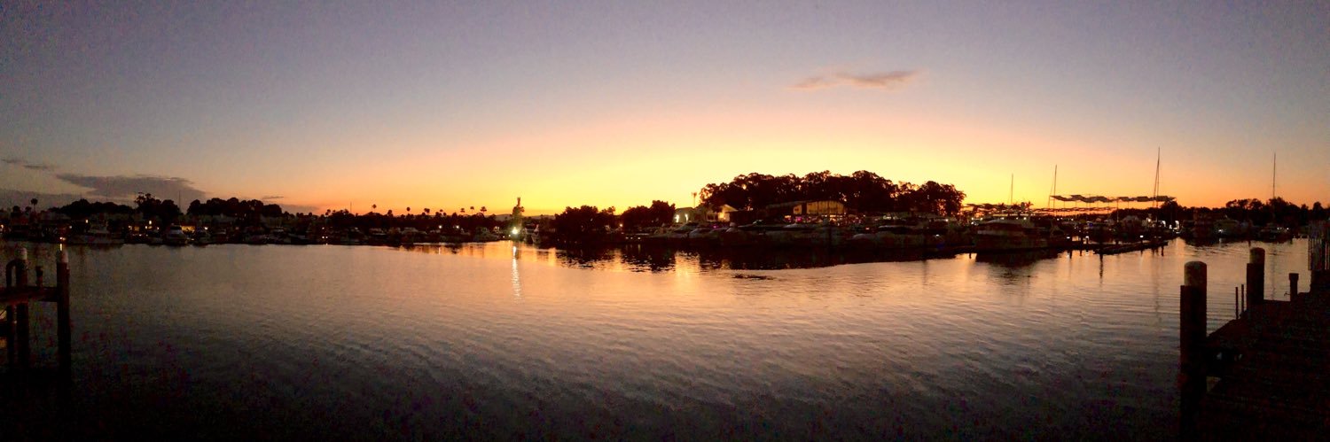 Mark Opitz AM banner