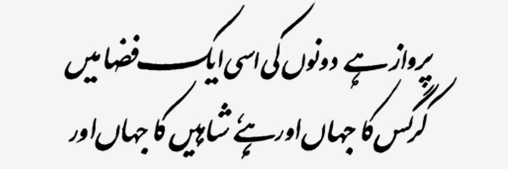 Faiza Murad's banner
