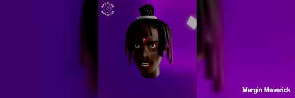 Margin Maverick banner