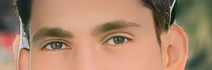 the_bidi's profile banner image
