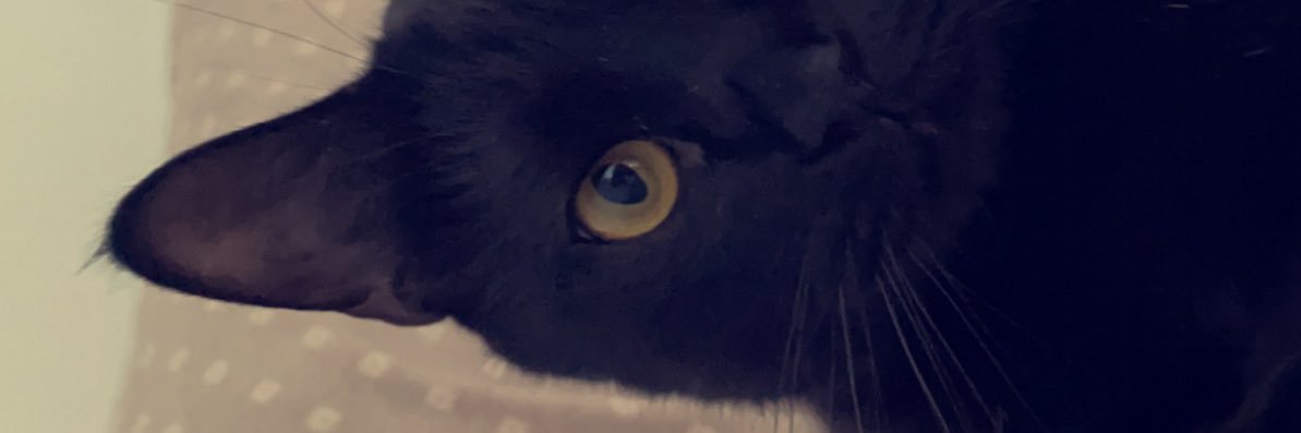 NonoLoup's profile banner image