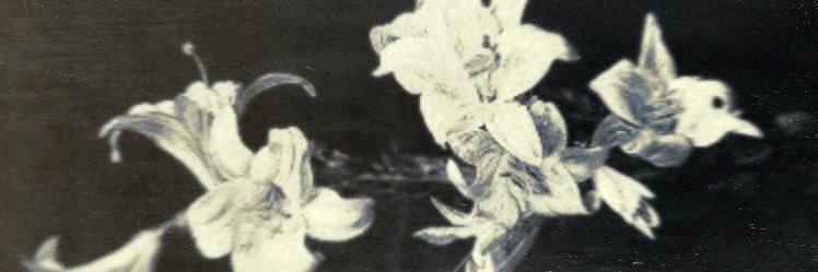 ‍ ‍𝚄𝙽𝙵𝙾𝚁𝙶𝙴𝚃𝚃𝙰𝙱𝙻𝙴‍ ‍𝐝𝐨𝐥𝐥 .’ banner