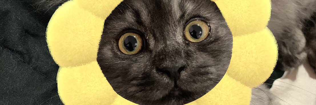 lingjuxx's profile banner image