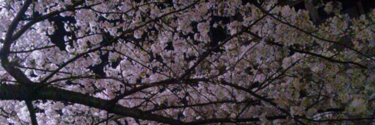 mikakoon's profile banner image