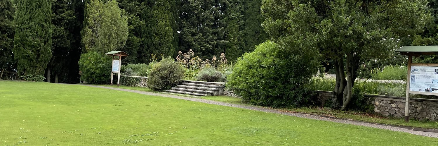 Tweeter_Headmaster 🇮🇹🇳🇬⚫⚪ banner