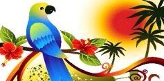 radhafast's profile banner image