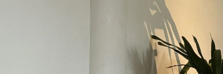 𝓁𝒾𝓁𝓎.'s banner