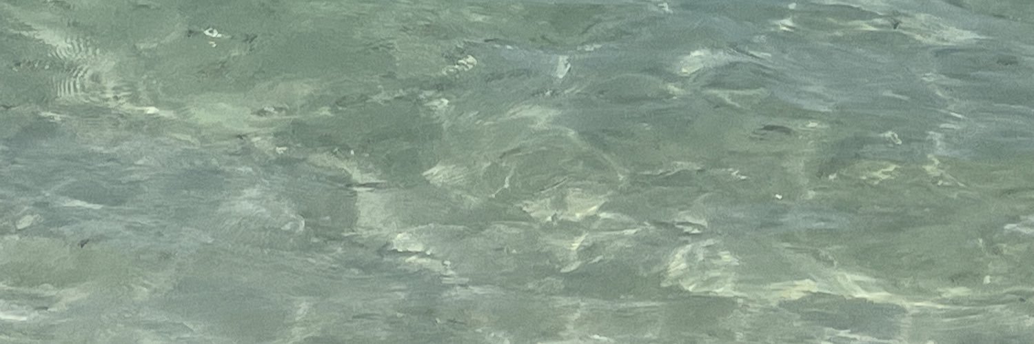 The lament for icarus banner