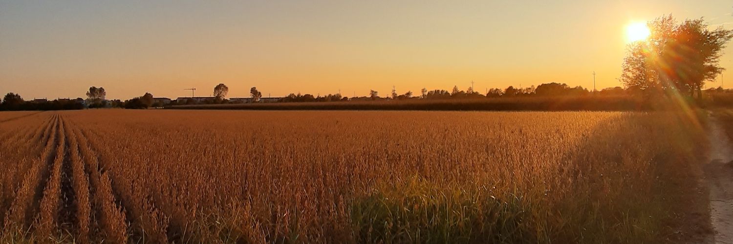CharlieReekmans's profile banner image