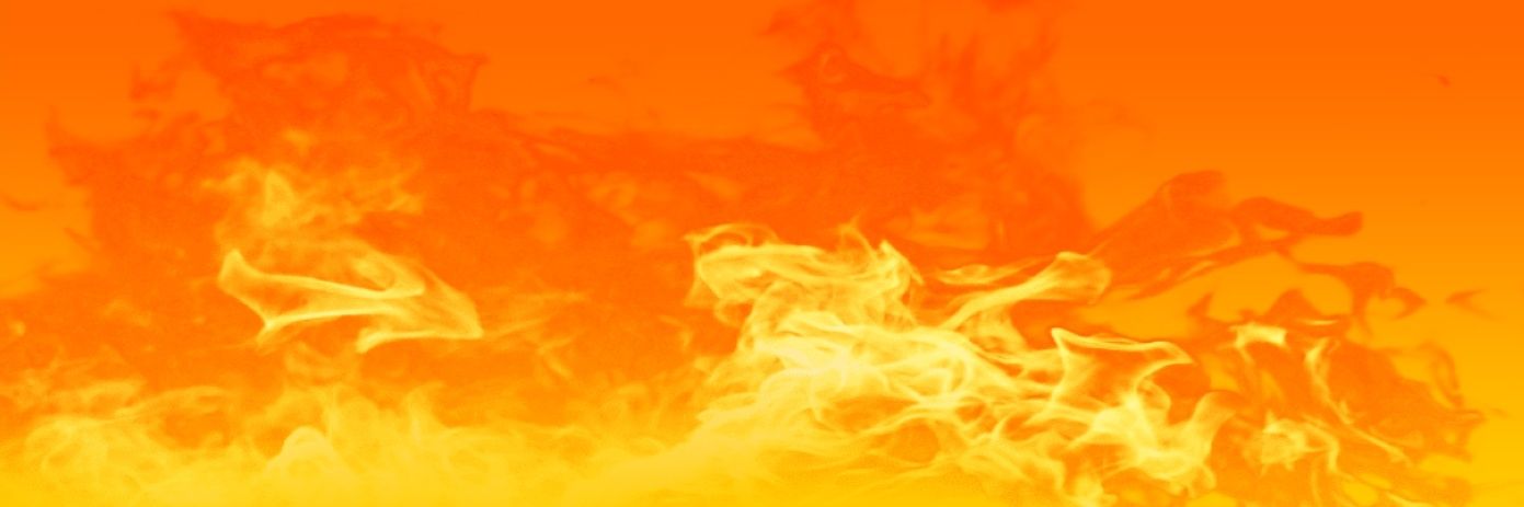 PHX 🇳🇱 ❄️🍁🍃🍂🪾🍄🥩🧀🐟🦐🚚🤘🏻 banner