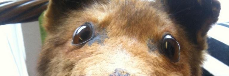 @sebbacon@universeodon.com banner