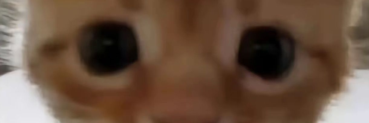 chongshi82's profile banner image