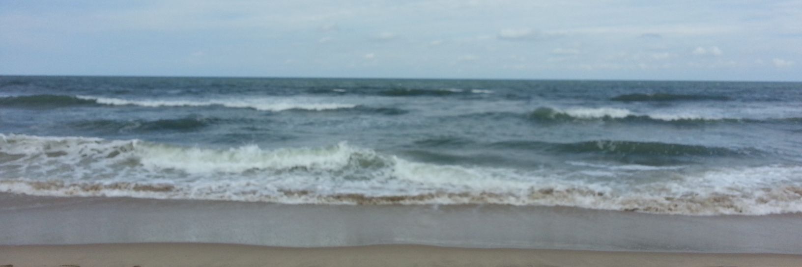 Silly Sheep 🐏 banner