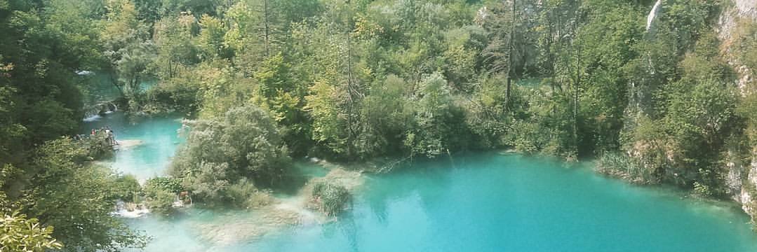 Luis Suarez (he/him) banner