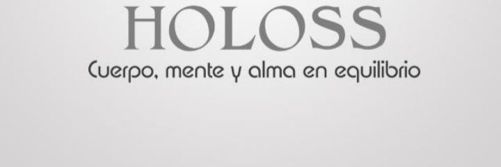 holos613's profile banner image