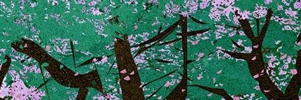 Rose in(φ) 薔薇 banner