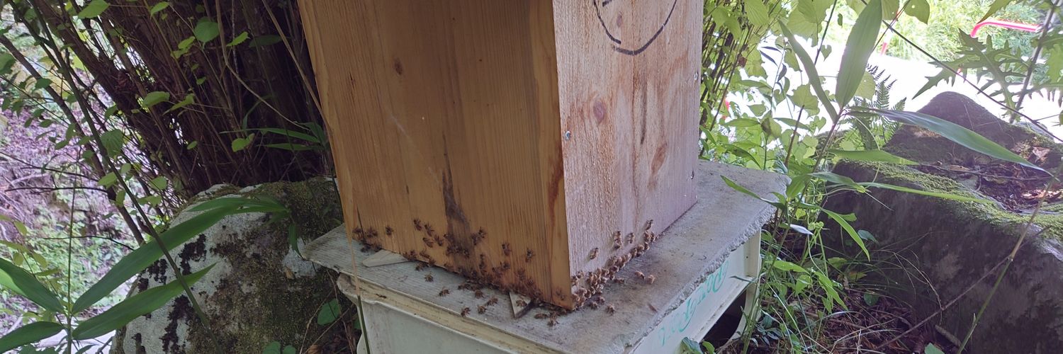 鳥刺し大好き banner