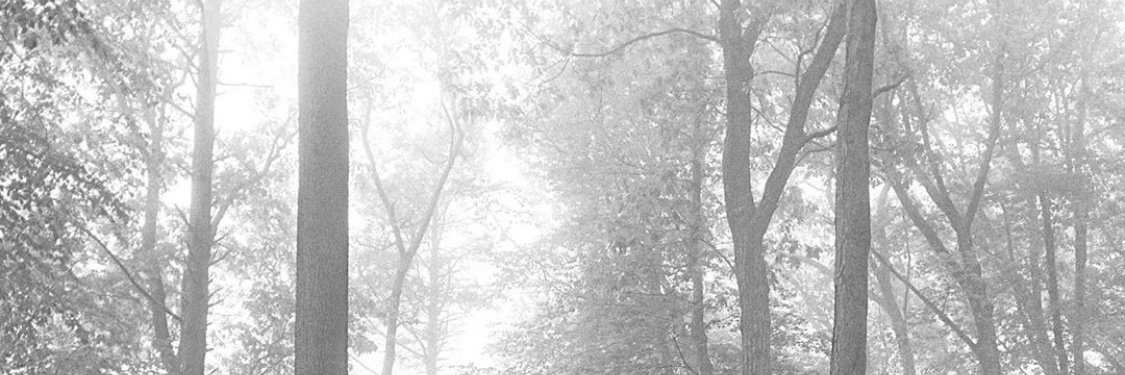 Rachel Konieczny's banner