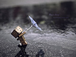 utami_melisa's profile banner image