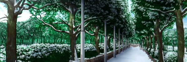 yurifangs Profile Banner