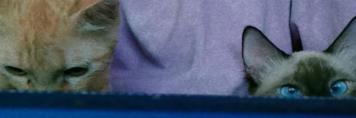 Lilith 👁️ banner
