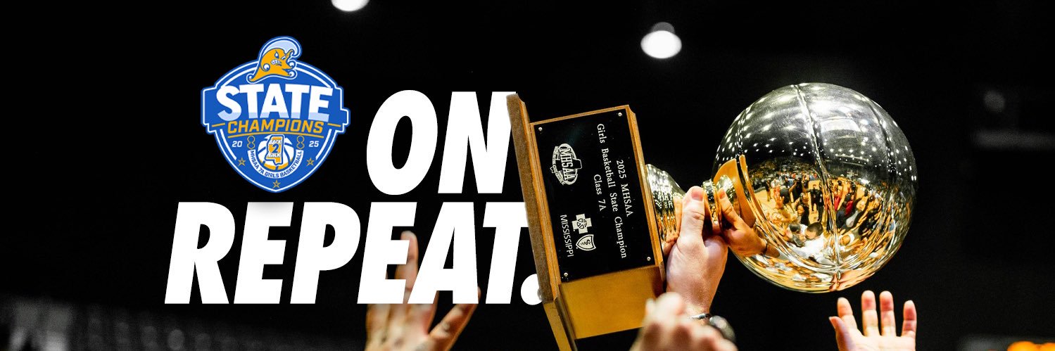 Lady Wave Basketball banner