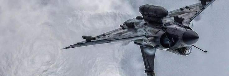 aliggatorvara's profile banner image
