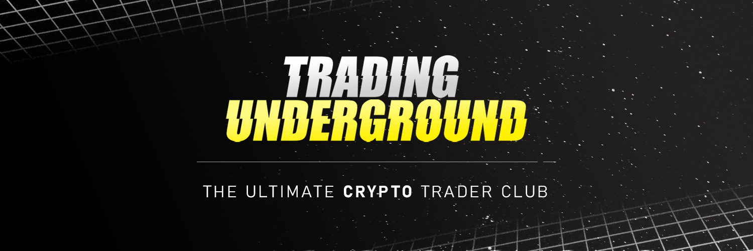 Matthieu Shelby | Trading Underground's banner