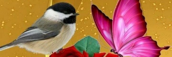 tholkappian7's profile banner image