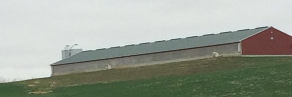 mr_sweet88 Profile Banner