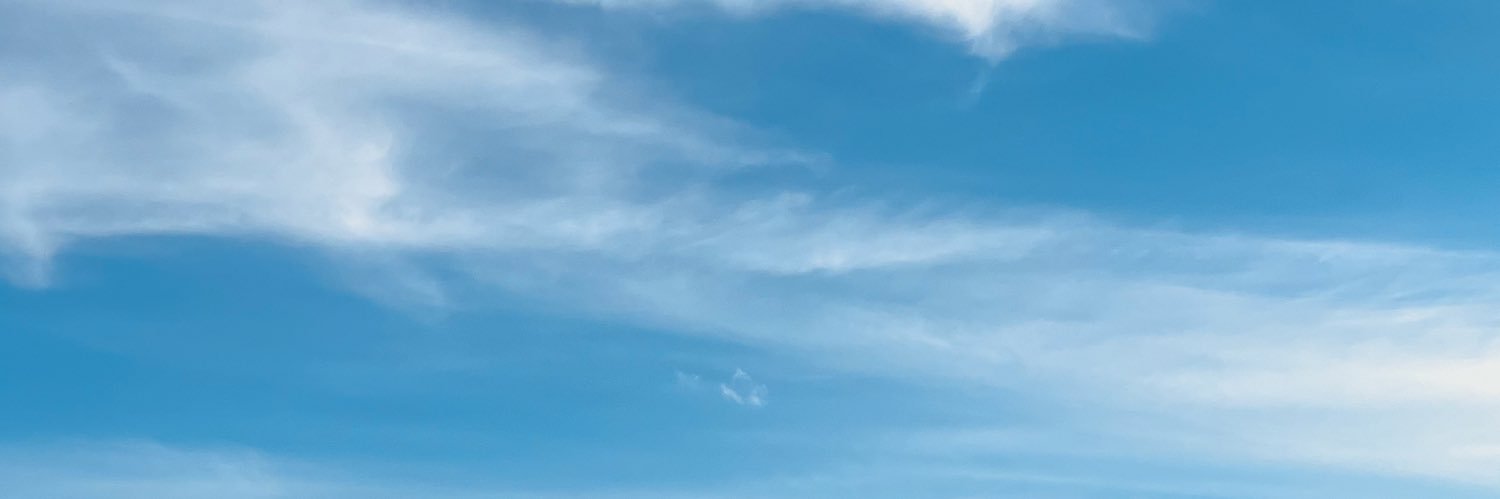 y1101s0v's profile banner image