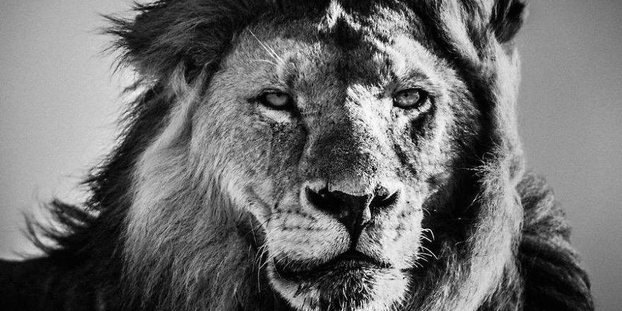 marcoantoniosv's profile banner image
