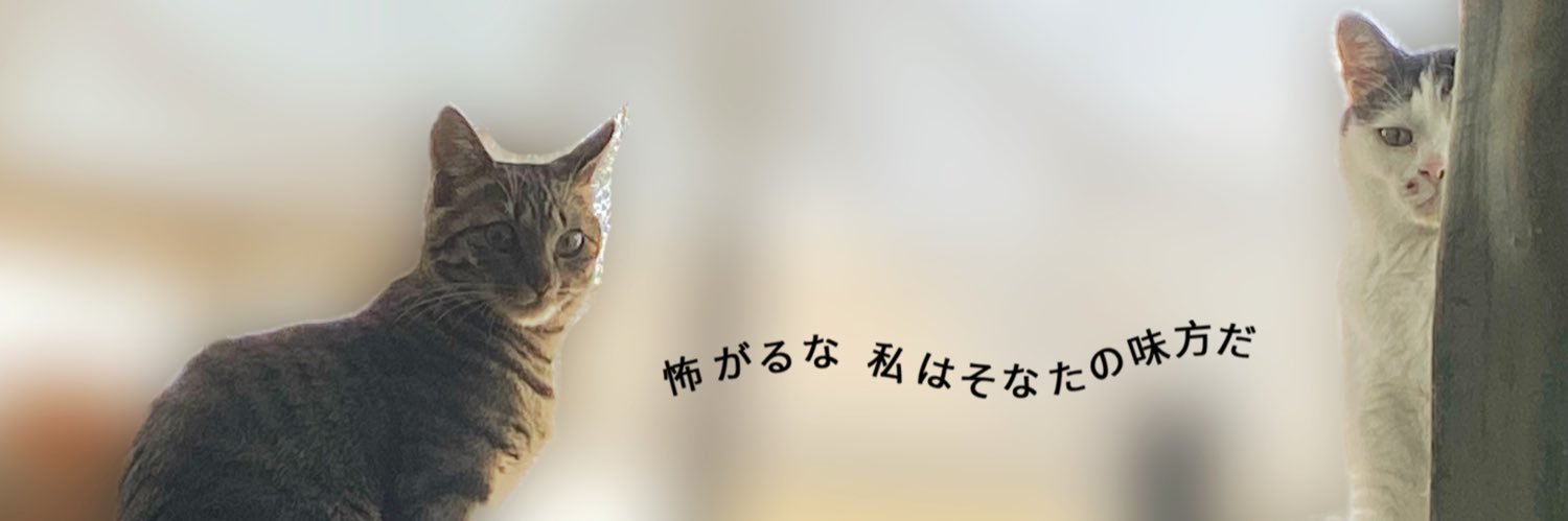 Chelsey_fttk's profile banner image