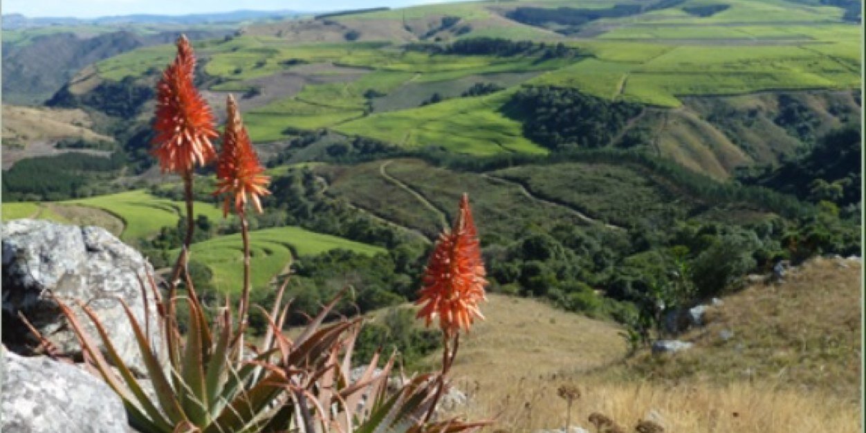 VirginiaTrails's profile banner image