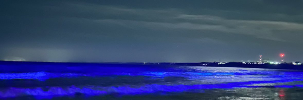 aqw81663's profile banner image