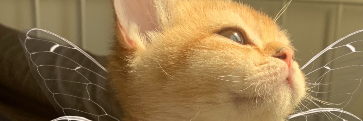 oohmikayla's profile banner image