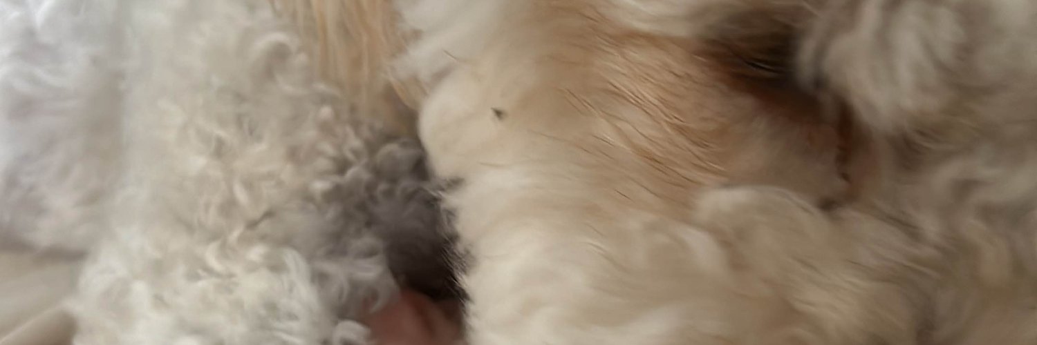 Gradypacks's profile banner image