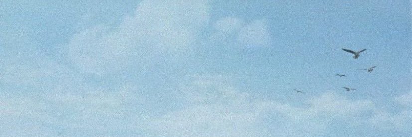 dearpiovesan's profile banner image