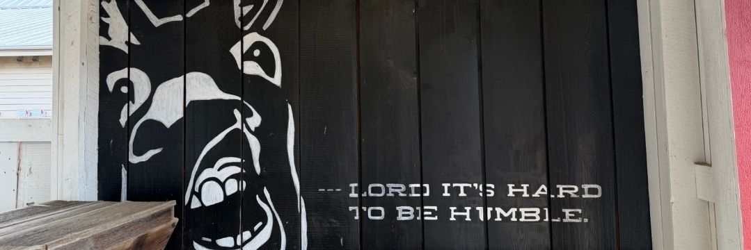 Brandon Hannibal Donkey banner