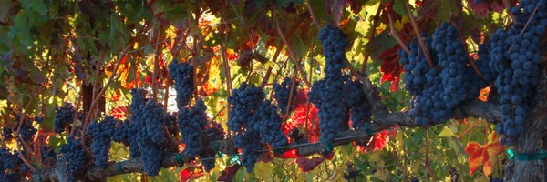 mediadls Profile Banner