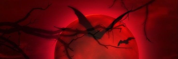 KingNdaa's profile banner image