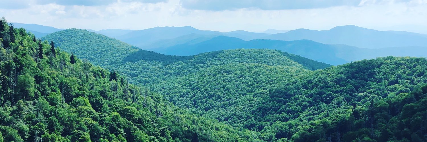 cbradshaw09's profile banner image