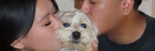 CallMeBianx's profile banner image