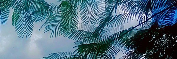 iamAnshi01 Profile Banner