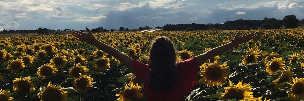 BuuRcuu__'s profile banner image