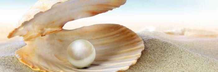 unfeignedindian's profile banner image