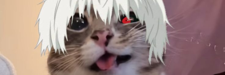 renbyss banner