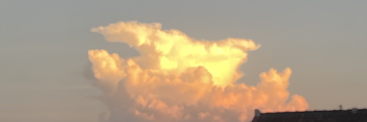 k. banner