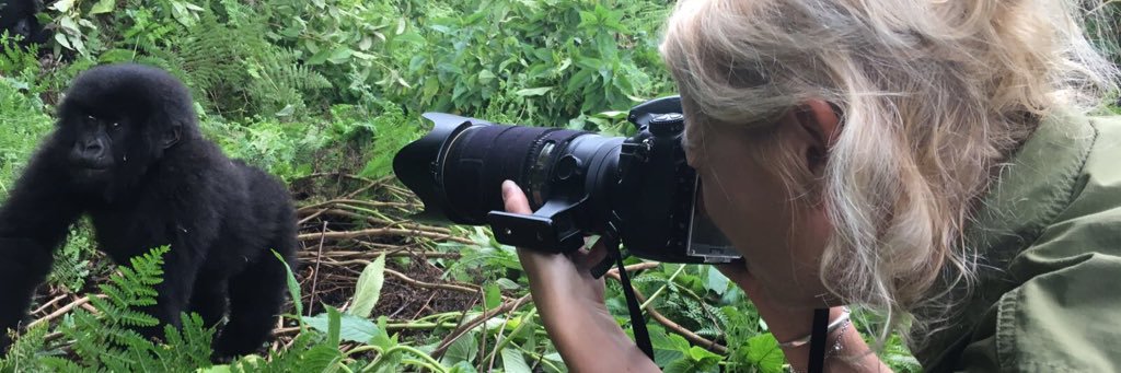 MargotRaggett's profile banner image